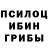 Псилоцибиновые грибы MAGIC MUSHROOMS Vasiliy Bokov