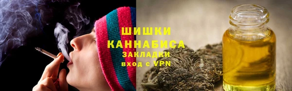 шишки Алзамай