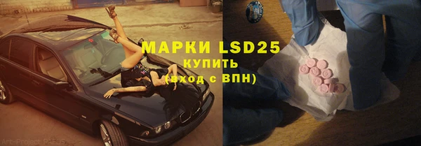 шишки Алзамай