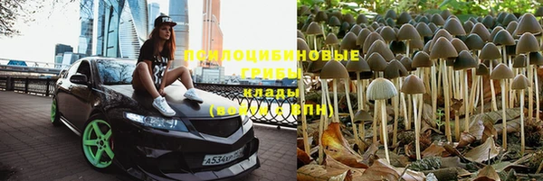 прущие крисы Алексин