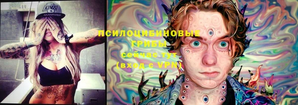 ECSTASY Алексеевка