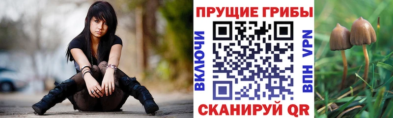 Псилоцибиновые грибы MAGIC MUSHROOMS  Иланский 